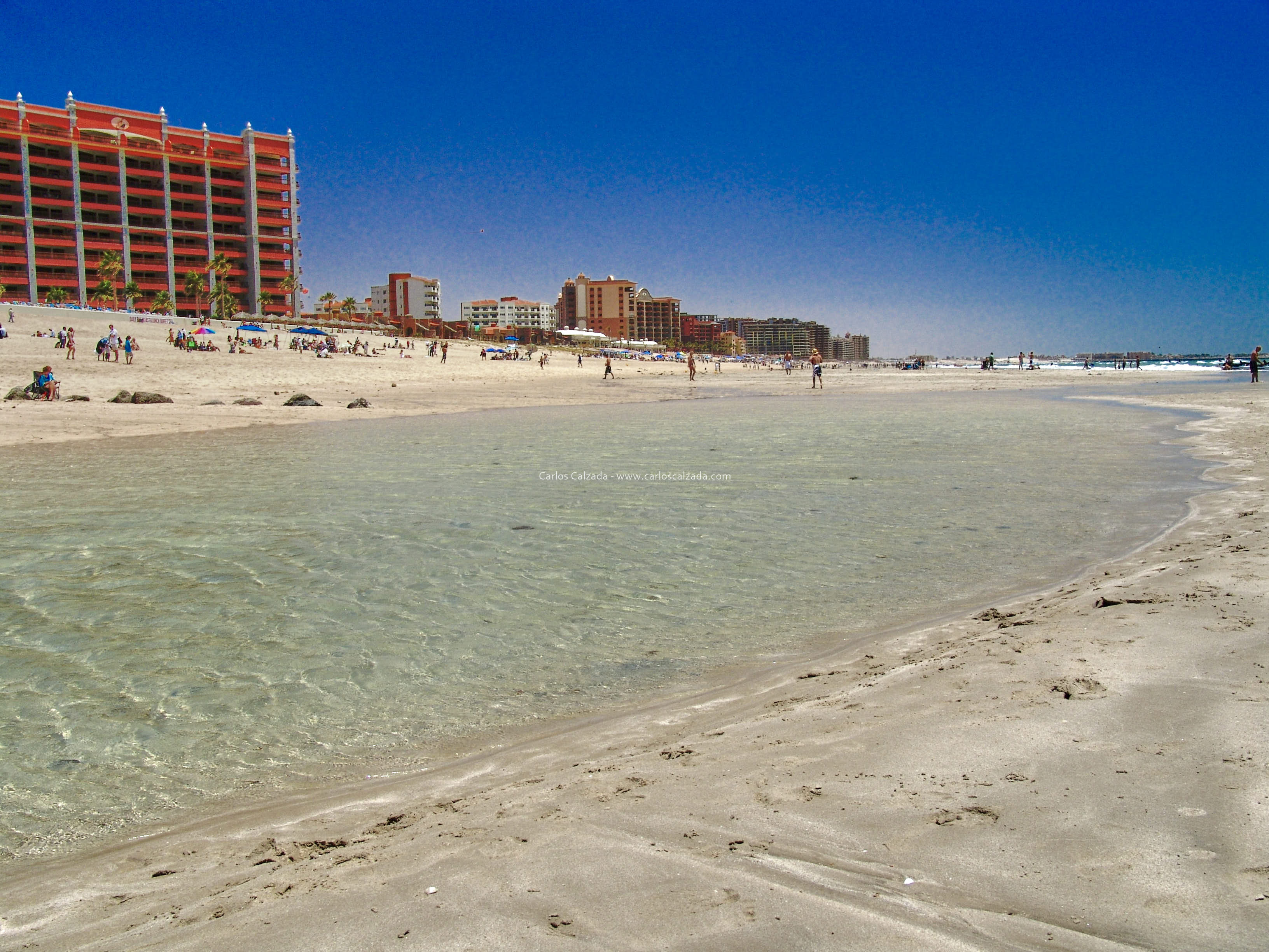 Arenosa_2008 (20).jpg